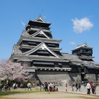 熊本城と桜