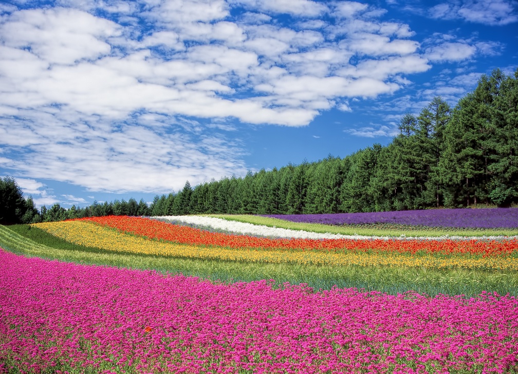hokkaido.jpg