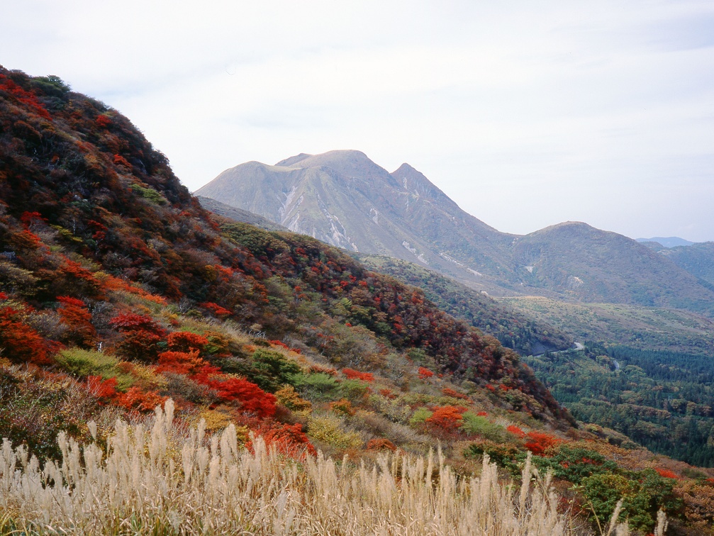 久住西千里の紅葉01