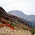 久住西千里の紅葉01
