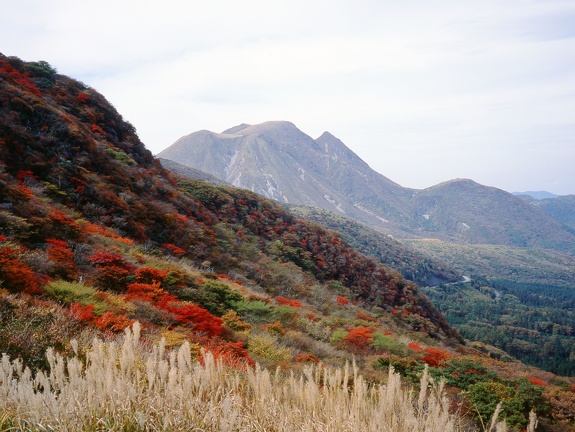 久住西千里の紅葉01