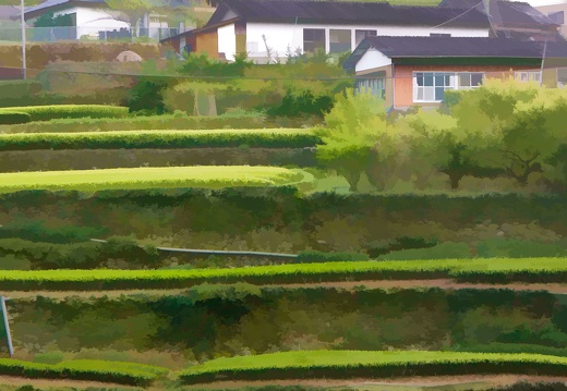 東陽村の段々畑