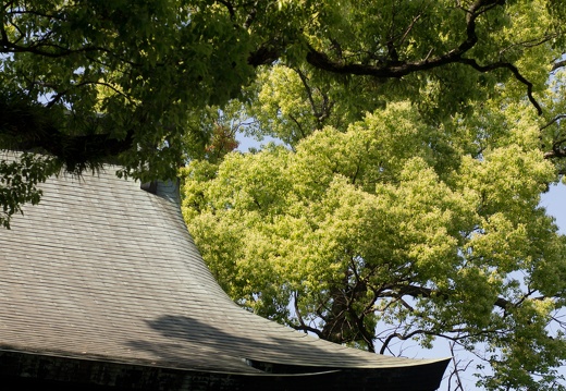 熊本市北岡神社