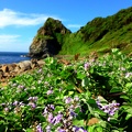 福岡県糸島　芥屋の大門　（著作権フリー）