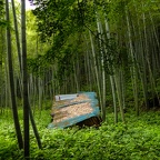 峠の茶屋近くの情景