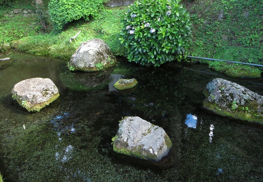 妙見神社の池