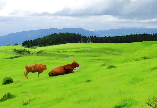 阿蘇の丘陵と牛