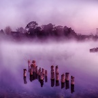 浮島熊野坐神社の夜明け前（フリー写真）