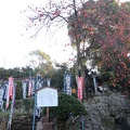 天水の薬師如来 (1740 visites) 天水の薬師如来