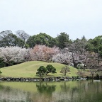 水前寺成趣園