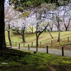 水前寺成趣園
