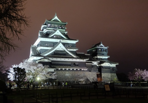 夜の熊本城と桜