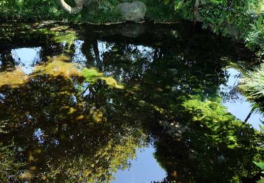 南阿蘇　池の川水源　フリー画像
