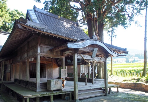 長野阿蘇神社