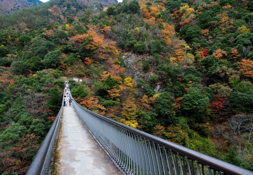 梅の木轟の吊橋と紅葉