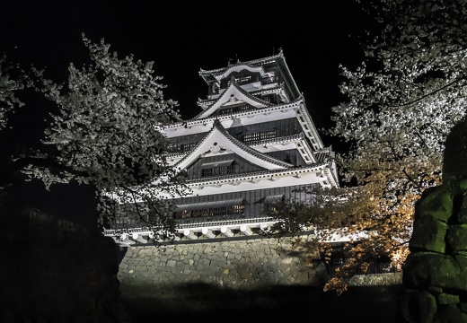 サクラサク夜の熊本城