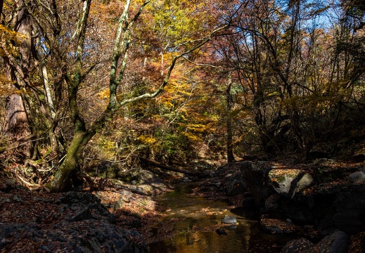 秋のマゼノ渓谷の紅葉