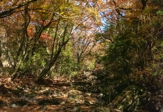 菊池渓谷周辺の紅葉