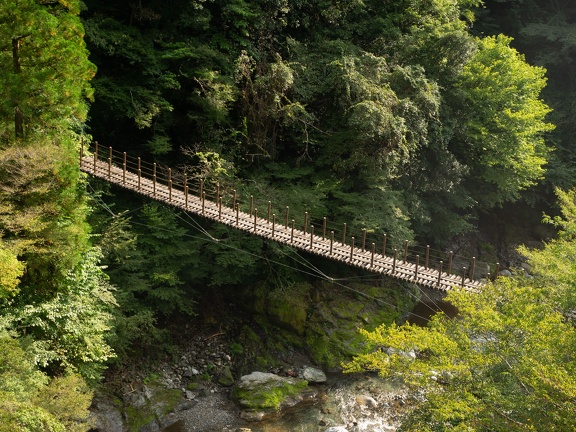樅木の吊橋