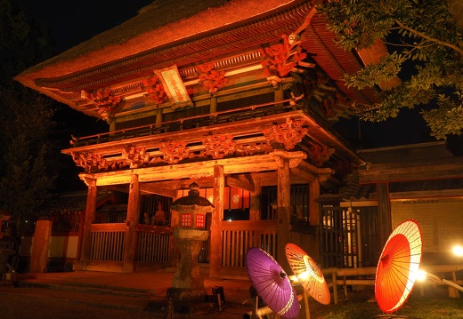 人吉ひかり復興プロジェクトでライトアップされている青井阿蘇神社