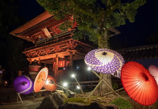 人吉ひかり復興プロジェクトでライトアップされている青井阿蘇神社