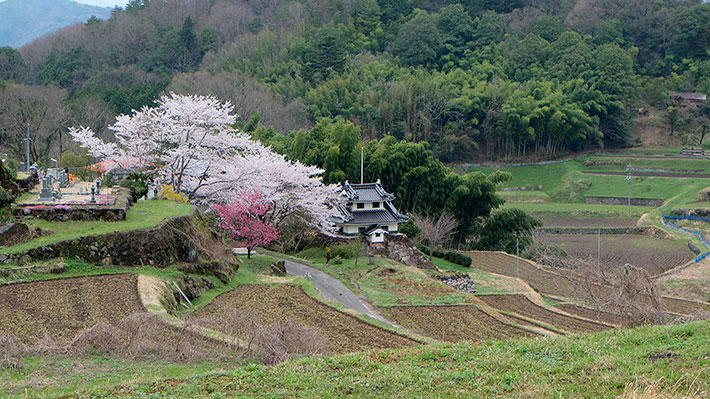 miyoshi