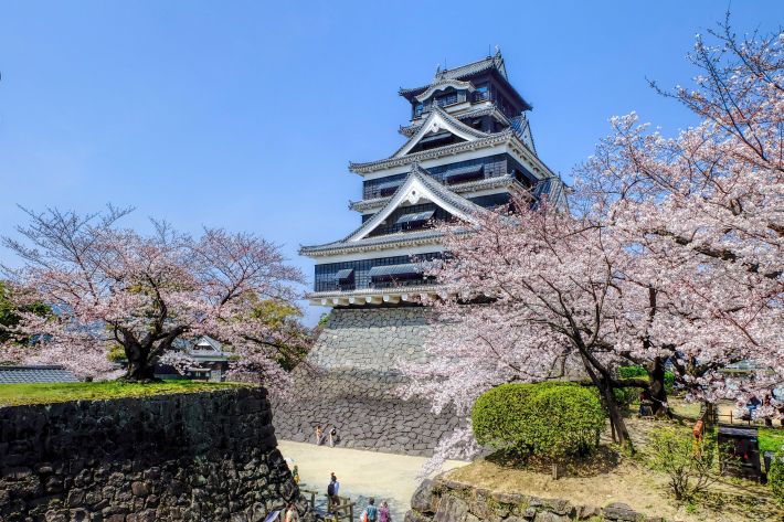 ２０１５年熊本城の桜