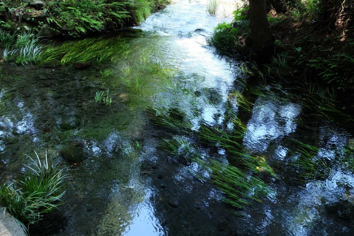 竹崎水源（無料画像）